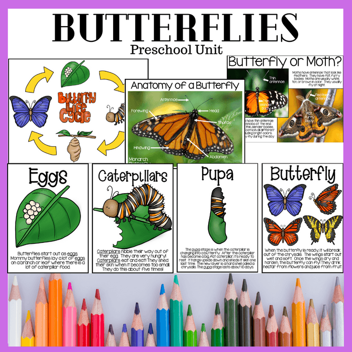 Butterfly Preschool Unit - Mama Bear University